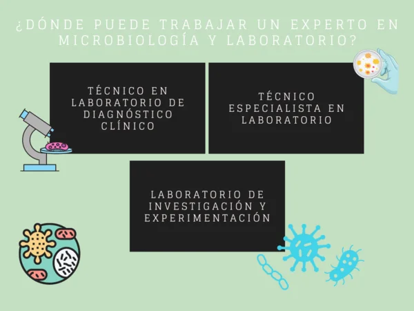 Cursos de Laboratorio y Microbiología